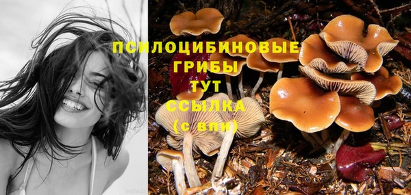 a pvp Бородино