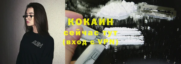 a pvp Бородино
