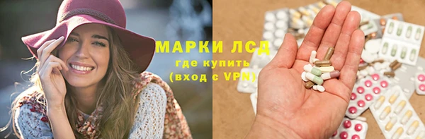 a pvp Бородино