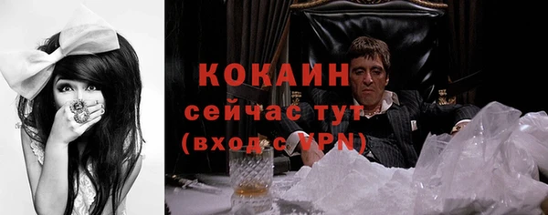 a pvp Бородино