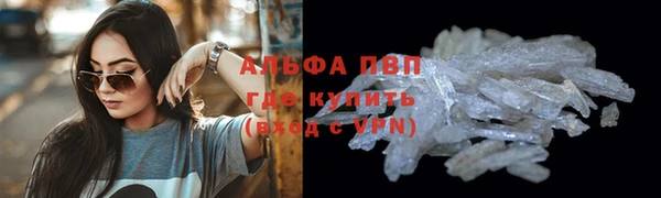 a pvp Бородино