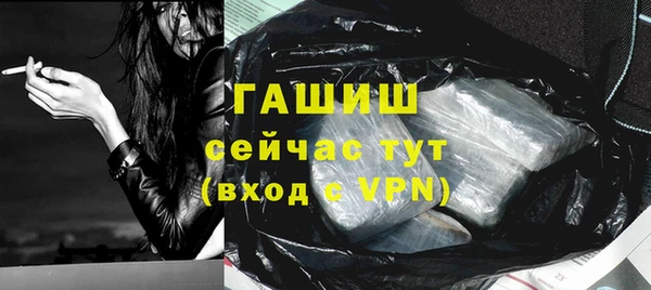 a pvp Бородино