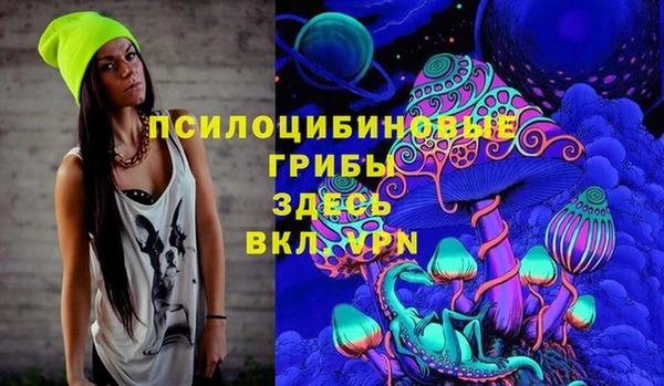 a pvp Бородино