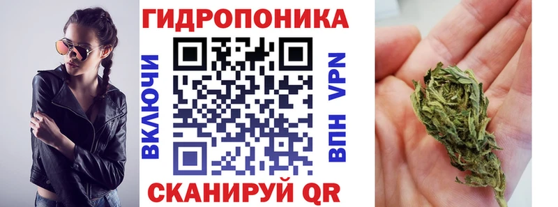 как найти   Щёлково  Канабис OG Kush 